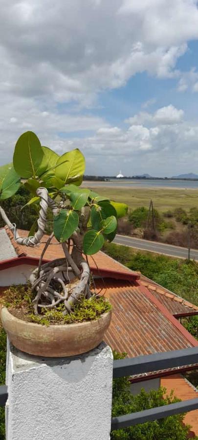 Lake Edge Resort Anuradhapura Kültér fotó
